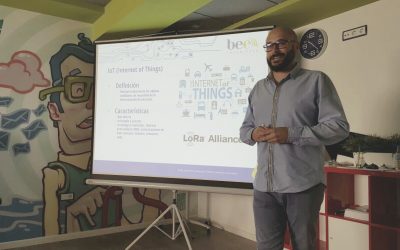 Formación entre compañeros: innovación en management en Bee Ingeniería